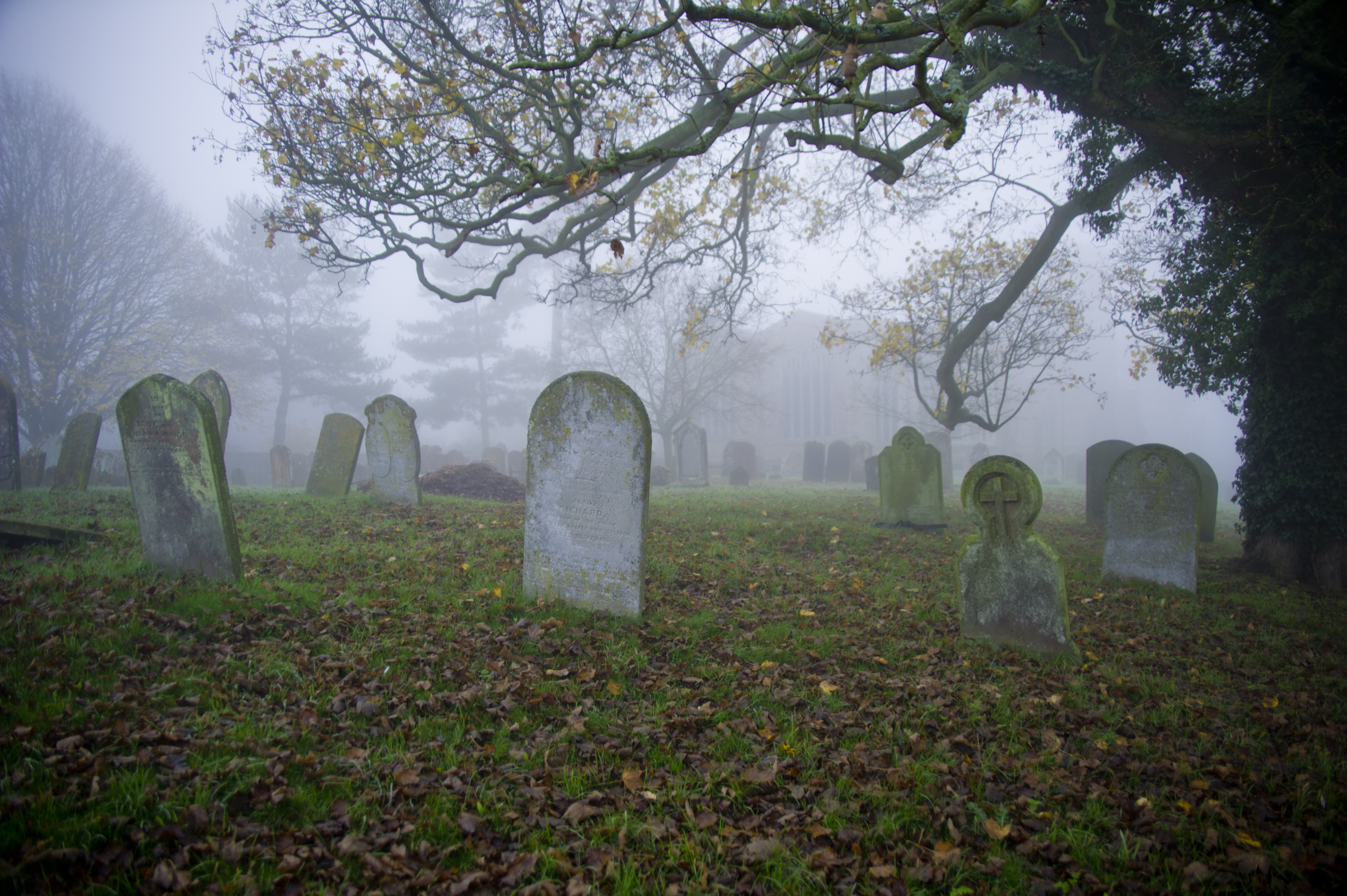 Image result for graveyard